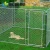 Import China supplier- large heavy duty welded mesh dog run 10x10x 6ft animal cage for sale from China
