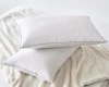 Classic White 100% Cotton Plush Fiber Fill Bed Five-Star Standard Sleeping Wholesale Hotel Goose Feather Pillows