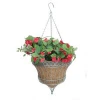 Coco hanging basket - QEPP14 - Top seller !