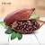 Import Cocoa Beans Price High Quality  Ghana Organic Cacao Bean from Republic of Türkiye