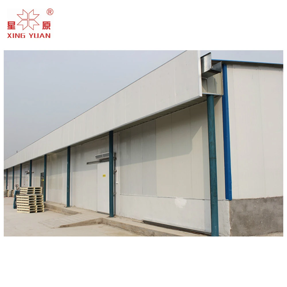 Cold storage project for fruit and vegetables with competitive factory price