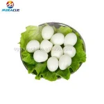 Commercial Electric boiled Quail Egg Peeler Quail Egg Boiler And Peeler Machine