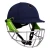 Import Cricket Helmet For Men Sports Wear from Pakistan