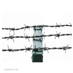 Crossed Wire Fence Galvanized Barbed Wire