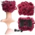 Import Curl Elastic Net Synthetic brown Curly hair bun Chignon clip in Two Plastic Combs Updo from China