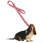 Custom Design Dog Collar and Leash