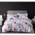 Import Customized bedding set 100% cotton egypt comforter bed sheet from China