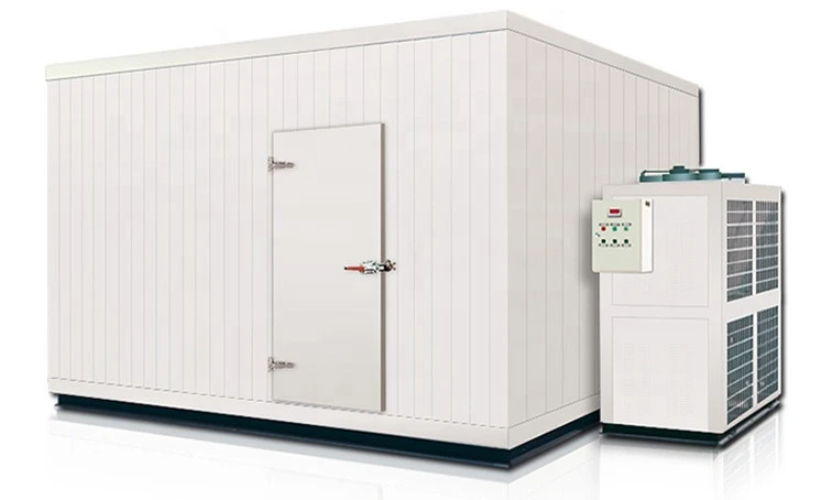 Deep Freezer Projects cold storage engineering With Cold Room Sliding Door