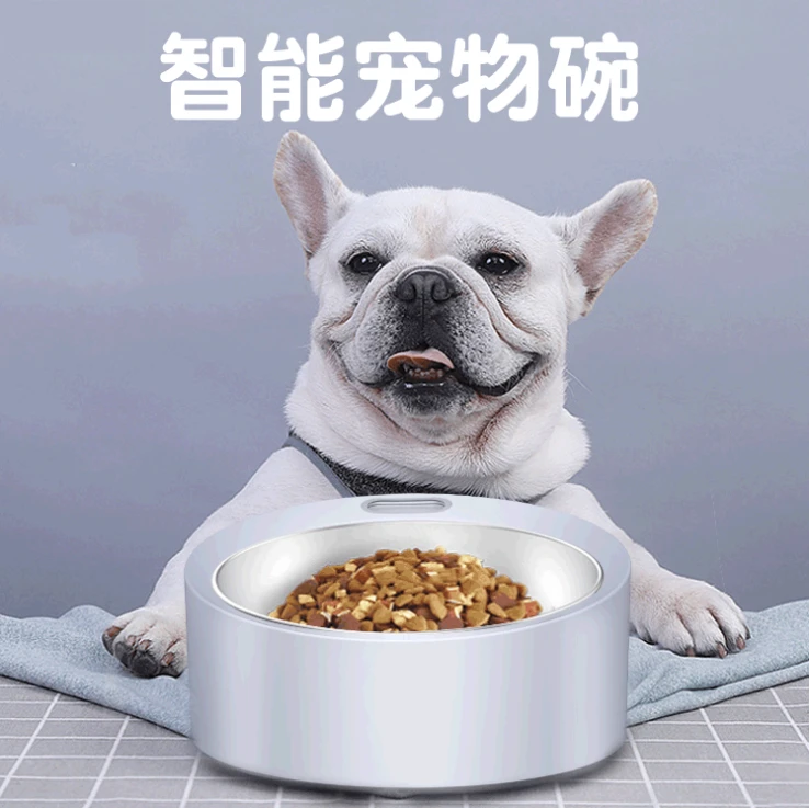 Dog Bowls Feeder Pet Product Auto Animals Power Item Battery Time Food Cell Small Feature Eco