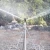 Import Double outlet 360 degrees Rocker pedestal Garden Landscape Irrigation Sprinklers from China