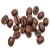 Import Dried arabica coffee beans for sale from Canada