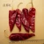 Import Dried Red Chili Dry Spices from China