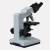 Import Education Biological Microscope with Best Price from China