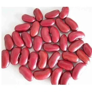 Egyptian White kidney beans/ Red Kidney Beans/ Light Speckled Kidney Beans