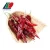 Import Export High Quality Tabasco Peppers from China