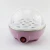 Import Factory Direct Sales Multifunctional Automatic Electric Egg Poacher, Egg Boiler from China