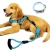 Import Factory wholesale pet suppliers nylon Dog Leash and Collar and dog harness Outfit from China
