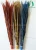 Import factory wholesale pheasant feather dyed lady amherst feather for decoration from China