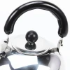Fashion Design Stainless Steel Whistling Water Kettle 3L