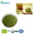 Import FDA Approved Organic Matcha Powder Green Tea from China