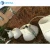 Import Fiberglass biogas digesters for piggery from China