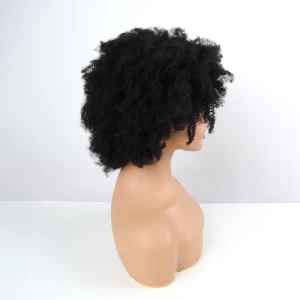 Fluffy Afro Kinky Curly Wigs For Black Women African Wholesale Cheap  Kinky Curly Human Hair Brazilian Raw Virgin Cuticle Hair