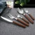 Import Food Grade Stainless Steel 430 Reusable Spoon Fork Knife Silverware ABS Plastic Handle Cutlery Set with Wooden Grain from China