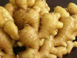 Fresh Air Dried Ginger, supply in 40 reefer container