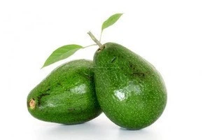 Fresh Avocado Supplier,  Fresh Furte & Hass Avocados Wholesaler