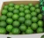 Import Fresh Green Lime/Fresh Seedless Lime /FRESH GREEN SEEDLESS LIME from South Africa