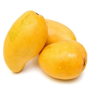 Fresh Mango from malaysia Mango