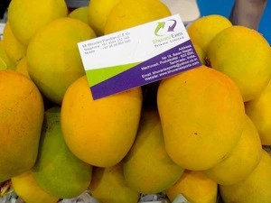 Fresh Mangoes/Alphonso Mangoes/Alphonso Mangoes 2019!