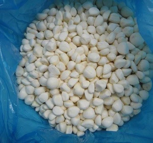 Fresh Peeled Natural White Garlic Wholesale.