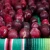 Import Fresh Plums for Sale from United Kingdom
