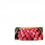 fresh red delicious fuji apples available for sale..