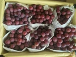 Fresh Red Delicious Grape Fruit
