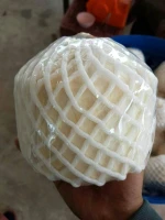 Fresh Yong Coconut Price from Thailand
