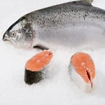 Frozen Alaska Pink Salmon Whole, Wild .