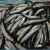 Import Frozen anchovy fish from China