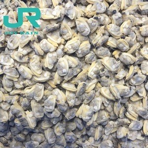 frozen boiled baby clam meat without shell no shell  shellfish