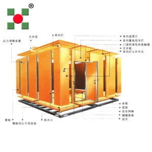 Frozen Cold Room for Meat and Fish cold storage room price fruit and vegetable cold room