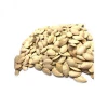 Gansu best price wholesale organic pmpkin seeds