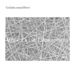 Gelatin nanofibers sample sheets to develop cell culturing/scaffolds with nanotechnology