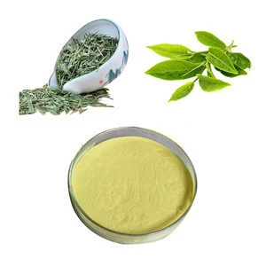 GMP certified 100% Natural Organic weight loss pharmaceutical grade bulk green tea extract powder