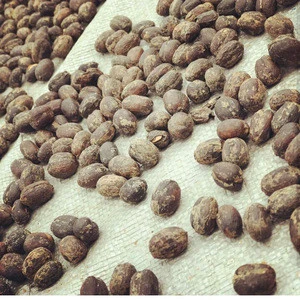 Green Beans Arabica Coffee