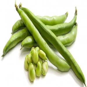 Green beans  Frozen Foods Frozen Vegetables Frozen Green