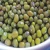 Import Green Mung Bean from India
