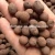 Import Grow Media Expanded Clay for Hydroponics from China