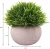Import H-077 4 Pack Mini Artificial outdoor  Succulent plants with pot  in Decor from China