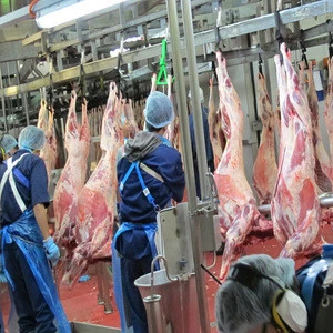 Halal Sheep Abattoir Machine for Slaughtering Equipment Deer Venison Slaughterhouse